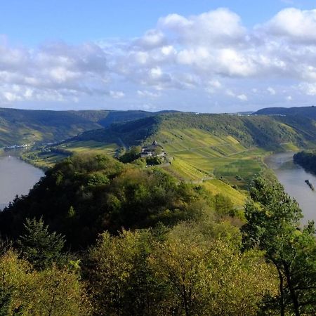 Weingut Helmut Barzen Zell an der Mosel Exterior foto