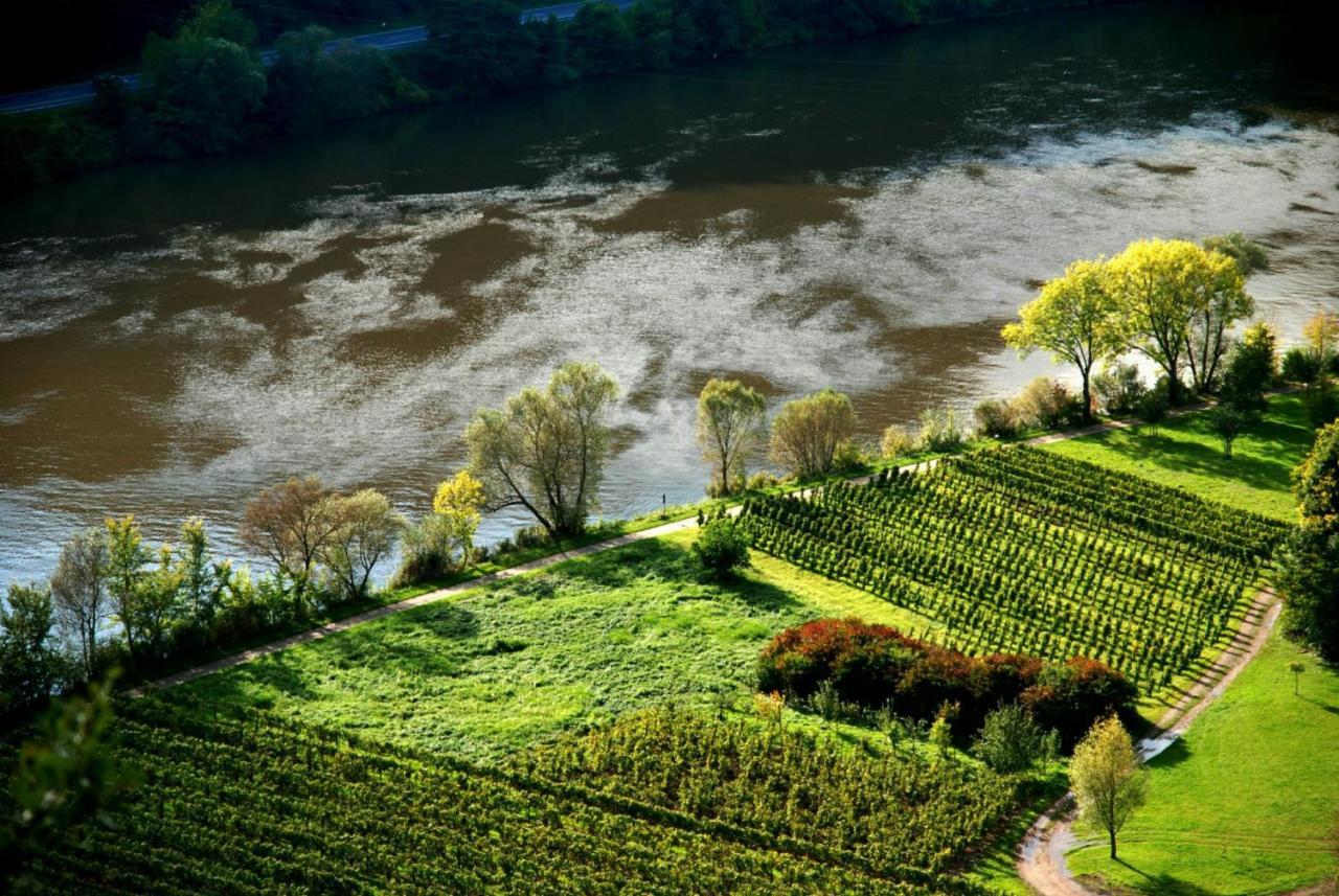 Weingut Helmut Barzen Zell an der Mosel Exterior foto