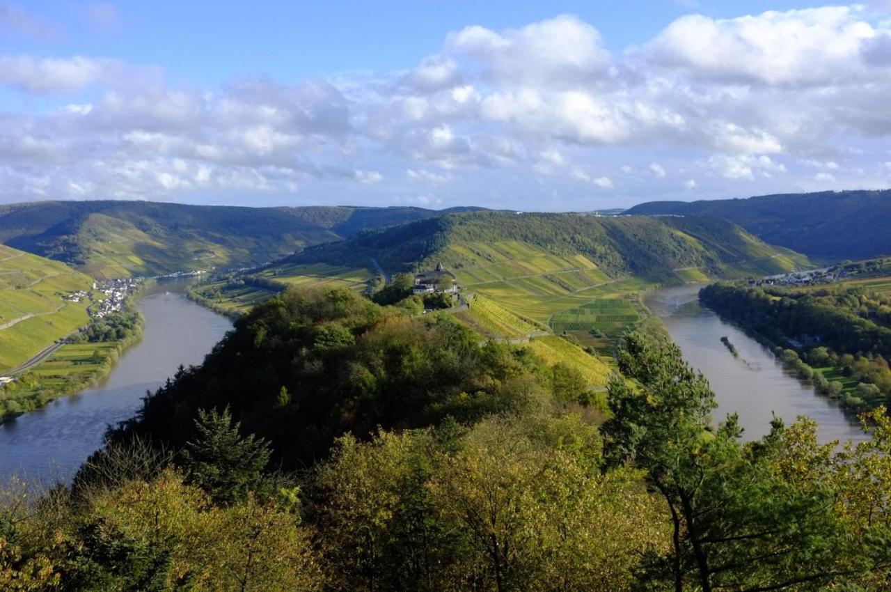 Weingut Helmut Barzen Zell an der Mosel Exterior foto